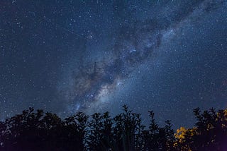 starry night sky above a row of evergreen trees