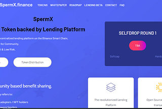 Token Backed By Lending Platform