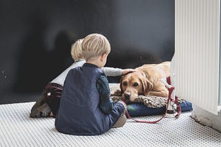 <img src=”top 7 dog breeds.jpg” alt=”family dog breeds ideal for adoption”>