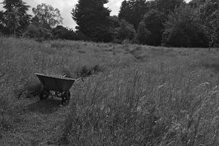 Black and white photograph of filled wheelbarrow on meandering path in wildflower meadow