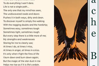 The Phoenix (Poem)