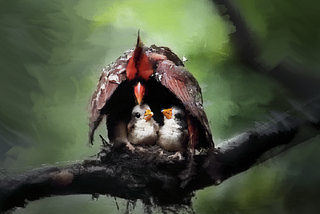 Reflection on Psalm 63