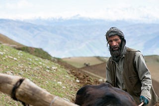 Afghan hill farmer ploughing field.