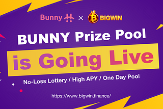 💎 Bigwin — Bunny Pool 🐰 coming soon! 🧭