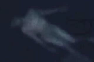 The Casper Mountain Crawler: TikTok’s Terrifying Encounter That Left Viewers Shaking