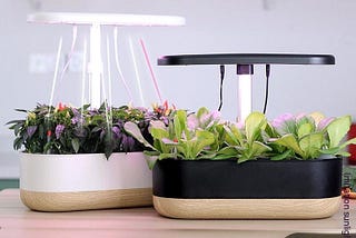 Intelligent Vegetable Planter Indoor Soilless Cultivation.