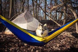 7 Simple Reasons Why You Need to Ditch Your Tent for a Hammock