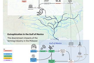 Eutrophication in the Gulf of Mexico