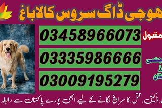 ARMY DOG CENTER KALABAGH | 03018665280