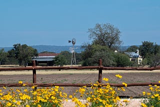 Blue skies with tree covered hills n the background, a tin roofed bard. windmill, and farmhouse duroounded by tree; yellow coriosis stand in the foreground in front of a cedarwood round rail fence