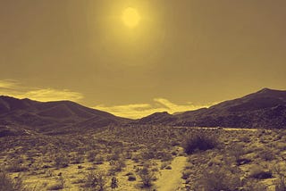 Desert Heat by Mark Tulin