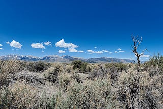 The Eastern Sierra Mountains view from Mono Lake