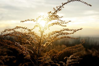 The One Most Profound Thing About Life We Were Never Told