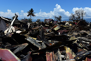 Key determinants for a resilient development