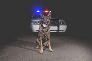 Police K-9: How I learned to trust the Dog Pt. 1