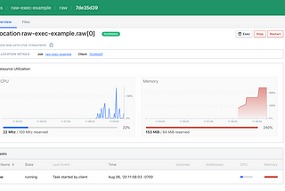 Hashicorp Nomad and the raw_exec driver for unconstrained task execution.