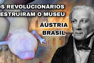 A HISTÓRIA DE CARL VON SCHREIBERS — O CIENTISTA QUE VEIO NA MISSÃO AUSTRÍACA AO BRASIL EM 1817