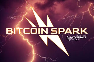 Bitcoin Spark Community Update: A Journey of Success and Excitement