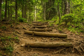 Dirt path on a gentle incline in a green forest with timber logs used a wooden steps.