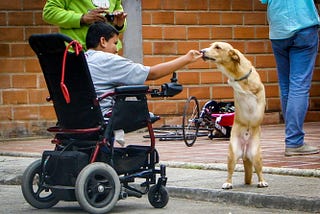 Nala, la perrita coraje con dos patas