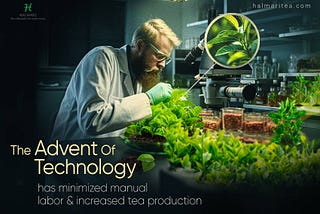 Tea and Technology