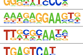 HOMER Motif Enrichment Analysis in SciDAP