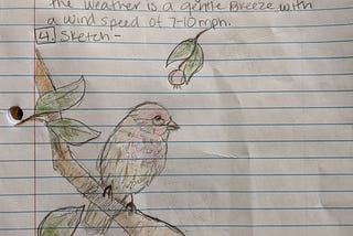 Naturalist Notebook: A Break for Creativity