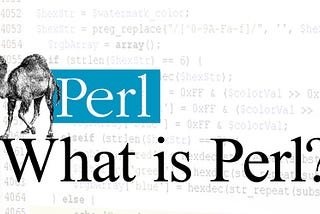 What is Perl ? : A Comprehensive Exploration