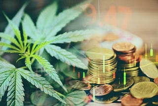 10 questions to ask before starting a cannabis business.