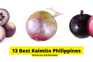 13 Best Kaimito Star Apple Philippines 2022 (w/ Free Discount)