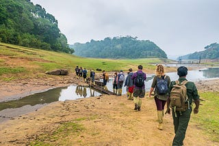 Nature Walking at Periyar National Park in Thekkady