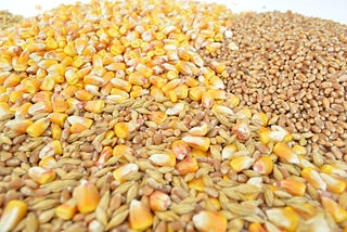 Intro to Grain Markets