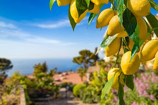 LEMON TREE: A PLACE FOR OUR STORIES