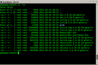 What happens when you type ls -l in the shell?