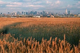 The Hidden Life of Trash; or What I Learned from Getting Lost in New Jersey