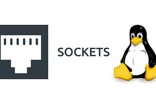 Socket Programming — Linux