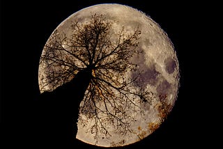 November is A Memorable Month for Me as a Writer