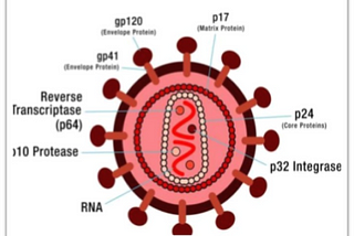 AIDS, Acquired immune deficiency syndrome, is a fatal disease that has been caused by the…