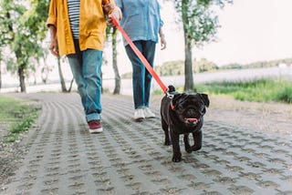 Walking