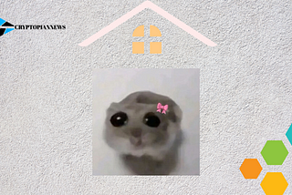 Sad Hamster: The Internet’s Newest Sensation