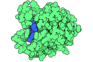 How to speed up the development of a drug?