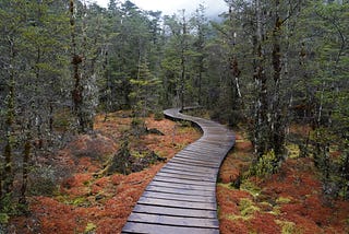 To the end of the world - Learnings from a journey down South.