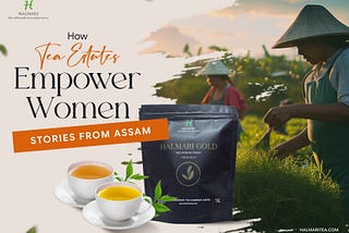 How Tea Estates Empower Women: Stories from the Fields of Assam