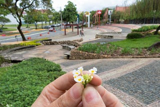 Belimbeleza, movimento para doar-se ao outro
