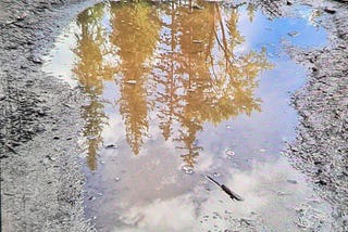 Ode to Discombobulation on Chaos Disorder