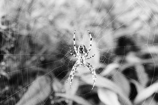 The Little Girl Who Lived Down the Lane