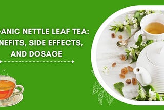 Organic Nettle Leaf Tea: Benefits, Side Effects, and Dosage