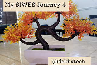 MY SIWES JOURNEY MONTH 4