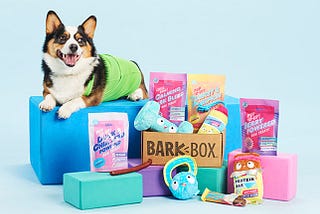 Target Marketing: BarkBox