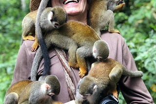 A man in a verdant forest plays host to a political party of tiny primates who joyfully climb all over him as an example of A Great Party: The Revolution for Evolution by Boots Davidovitch.